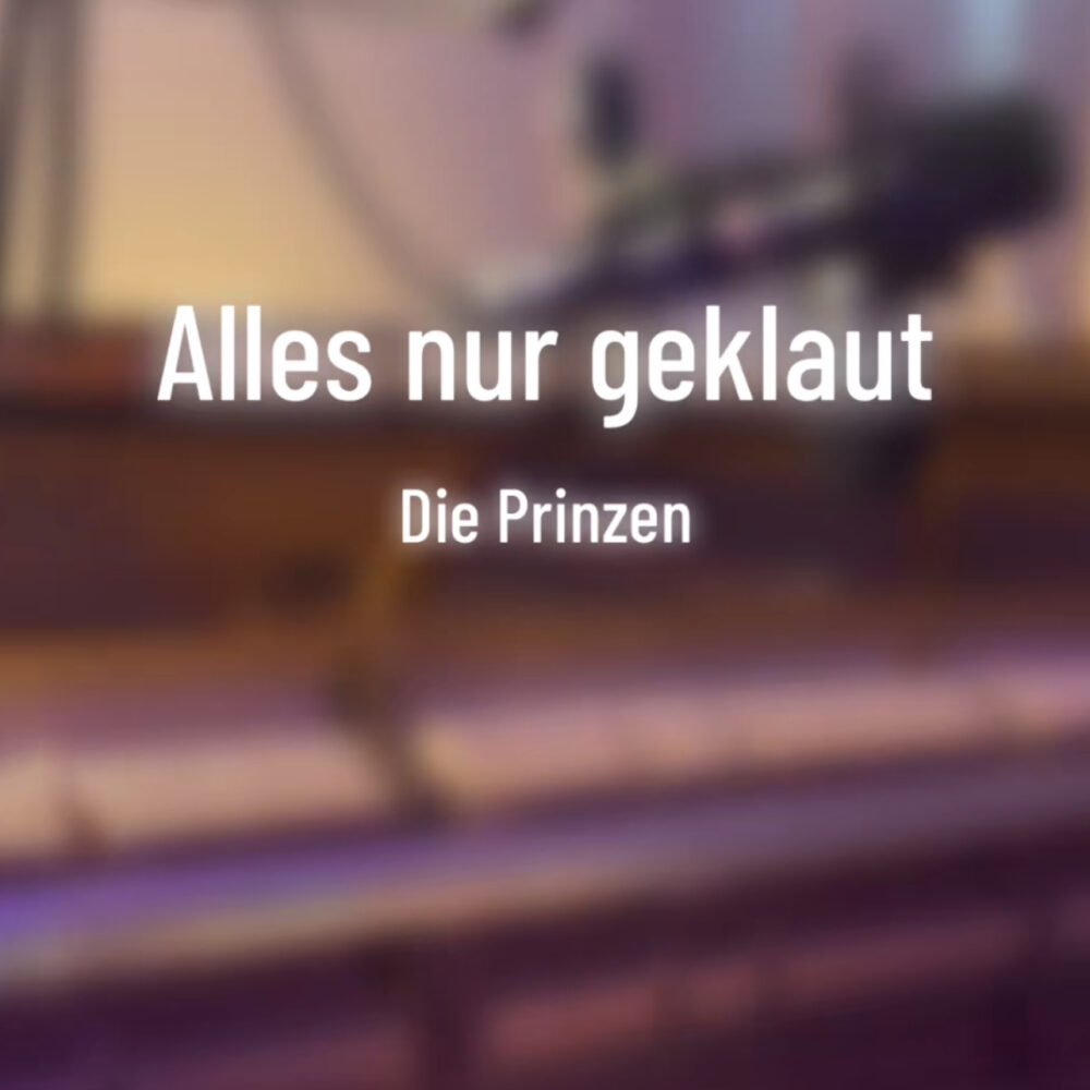 Alles nur geklaut – Die Prinzen